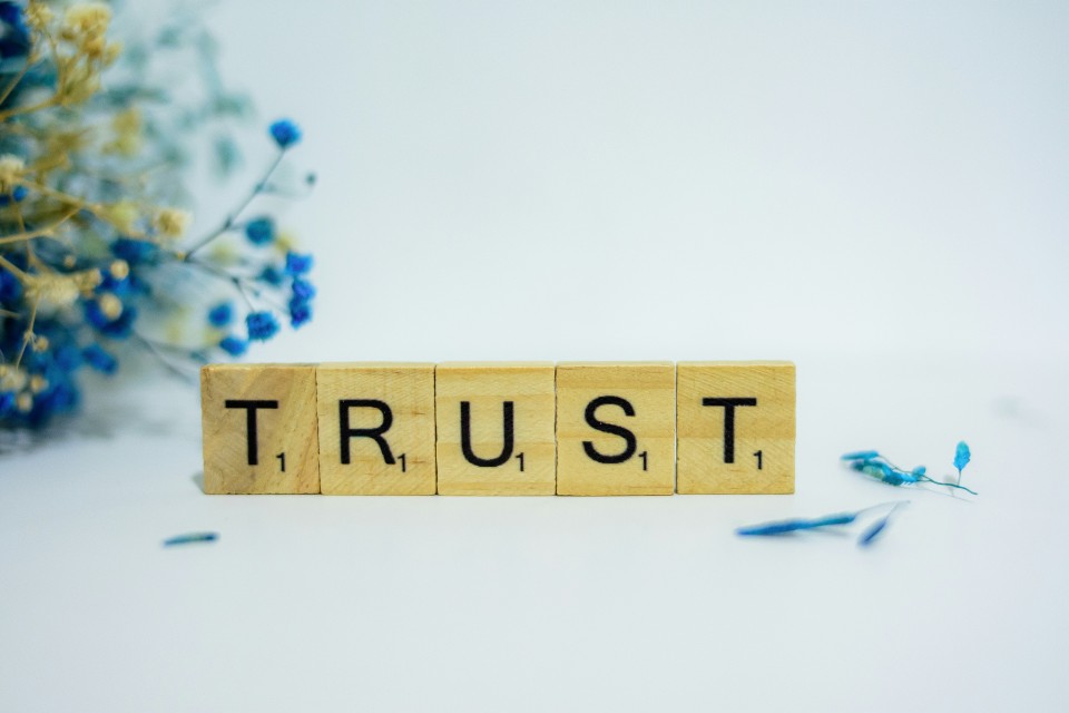 A photo of some scrabble tiles spelling the word TRUST with some blue flowers in the background.